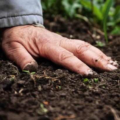 Hogyan mérsékelheted a tápanyag veszteséget savanyú talajok esetében?